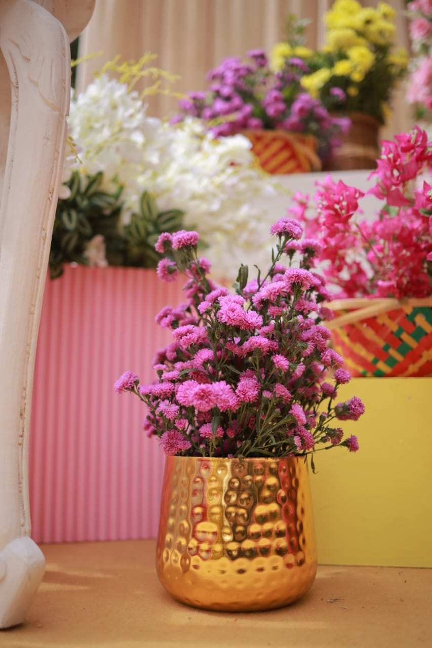 Beautiful Pink Flowers in Golden Vase